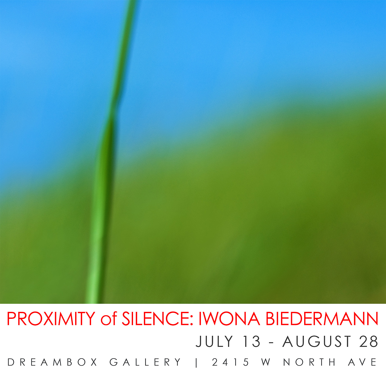 ProximityofSilence_PromoWEB2